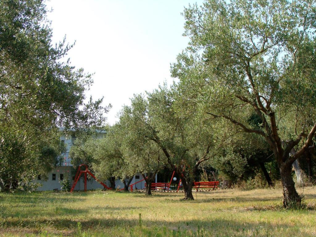 Sophies Olive Haven Possidi Room photo